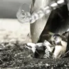 ¿Cuáles Son Los Tornillos Para Fijar Láminas?